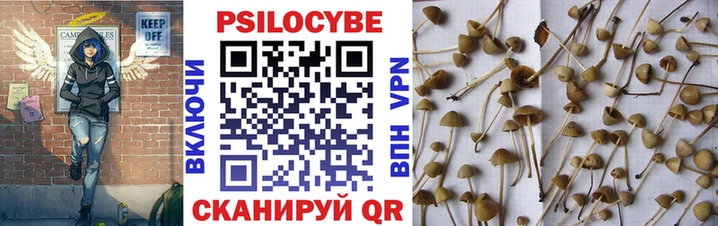 Галлюциногенные грибы GOLDEN TEACHER Купить закладки Кунгур